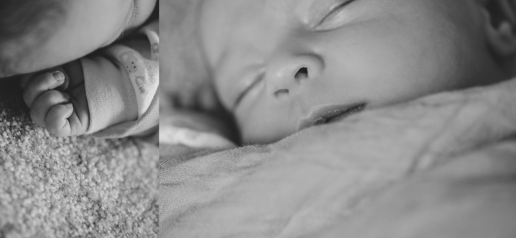 newborn photos edmonton